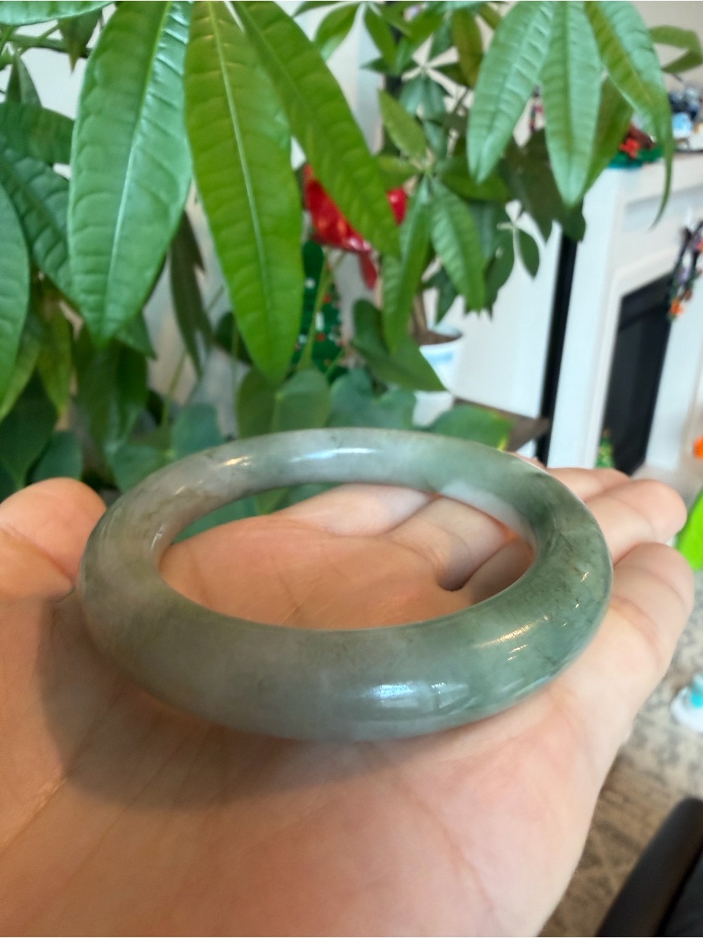 Natural Grade A Burmese Jadeite Jade Bangle Bracelet